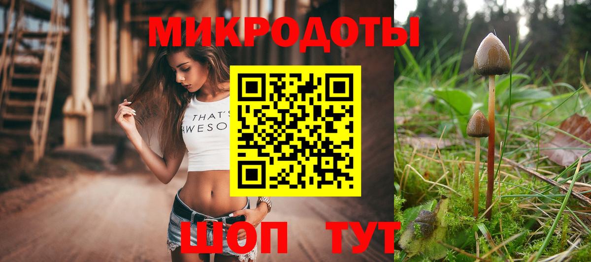 Псилоцибиновые грибы GOLDEN TEACHER Мариинск
