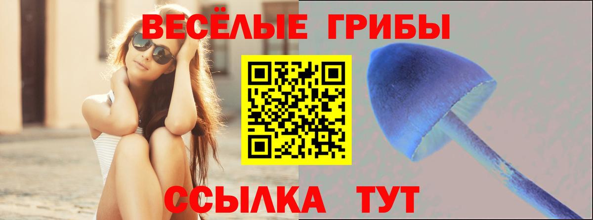 Мариинск  Галлюциногенные грибы прущие грибы  Галлюциногенные грибы мицелий  Вход с VPN 